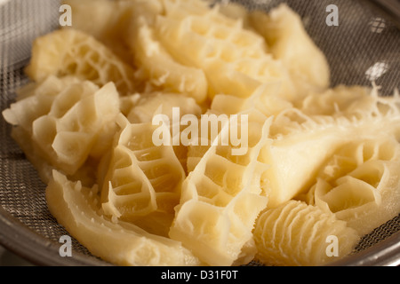 Rohes Rindfleisch Honeycomb Kutteln Stockfoto