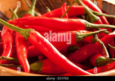 Rote Peperoni Stockfoto