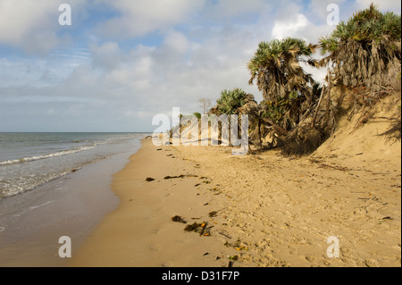 Shela Strand, Lamu-Archipel, Kenia Stockfoto