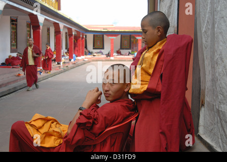 Rumtek Kloster, Gangtok, Sikkim. Mönche in ihrer Freizeit Stockfoto