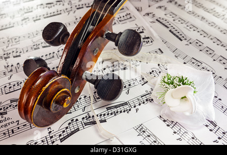 Details von einer alten Geige Kopf auf Kerben und eine dekorative Blume in der Ecke. Stockfoto