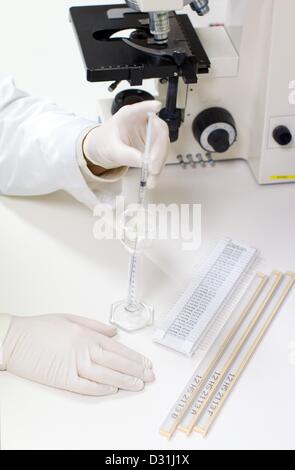 Eine Spermaprobe wird im Zentrum für Reproduktionsmedizin in Münster, 6. Februar 2013 untersucht. Foto: FRISO GENTSCH Stockfoto