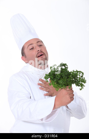 Küchenchef liebevoll Petersilie. Stockfoto