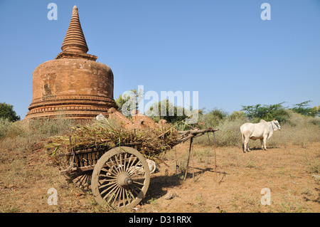 Ochsenkarren vor Stupa, historischen Ort von Bagan, Burma, Myanmar Stockfoto