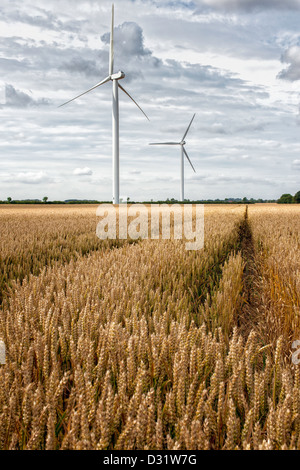 Windkraftanlagen in einem Feld von Weizen in der Nähe der Marktstadt von Beverley in East Riding von Yorkshire, Großbritannien. Stockfoto