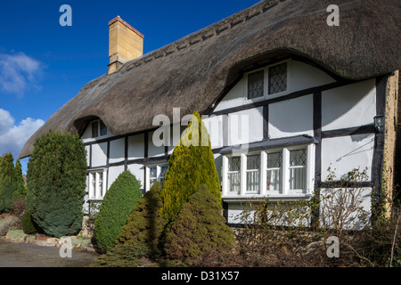 Halbe Fachwerk-Reetdachhaus in Dorf Bredon, Worcestershire, England, Großbritannien Stockfoto