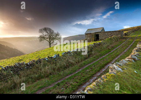 Querformat über Exmoor im Exmoor National Park in der Nähe von Lynmouth, Devon, England, Vereinigtes Königreich, Europa. Stockfoto