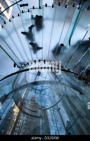 2009 HISTORISCHE MENSCHEN ZU FUSS AUF GLAS WENDELTREPPE TREPPEN APFEL GESCHÄFT (©BOHLIN CYWINSKI JACKSON 2006) FIFTH AVENUE MANHATTAN NEW YORK CITY USA Stockfoto