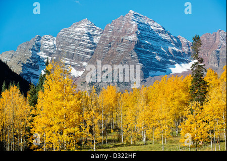 Verschneite Berge und gelbe Bäume Stockfoto