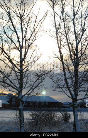 Ein Hochformat eines Gebäudes abgedeckt im Schnee, eingerahmt von zwei Bäumen und einer Schnee Feld im Winter abgedeckt, wie die Sonne unter geht Stockfoto