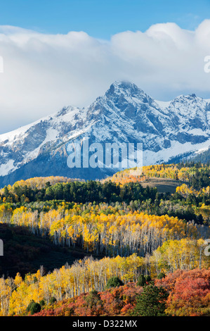Snowy mountain and trees in rural landscape Stockfoto