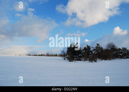 Einen dramatischen Verlauf der dunklen und hellen blauen Himmel und Wolken mit Blick auf eine große Decke von Schnee auf einer Wiese mit Bäumen am Horizont Stockfoto