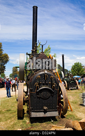 See-Goldschmied / der 100. Steam Rally von Dampf angetrieben Fahrzeugen und Maschinen. Victoria, Australien Stockfoto