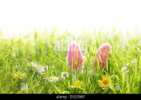 Easter Bunny Ohren in Rasen Stockfoto