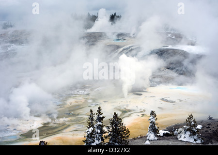 Norris Geyser Basin, Yellowstone-Nationalpark, Wyoming, Vereinigte Staaten von Amerika Stockfoto