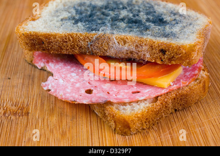 schimmelige Sandwich mit Salami, Tomaten auf einem Schneidebrett Stockfoto