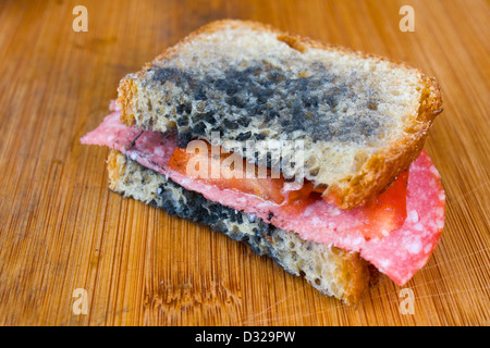 schimmelige Sandwich mit Salami, Tomaten auf einem Schneidebrett Stockfoto