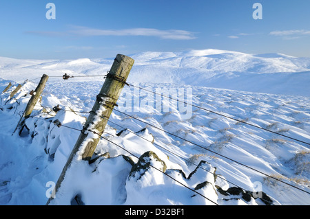 Blick nach Osten vom Colsnaur Hill, Ben Cleuch in der Ochils, Clackmannanshire, in dem strengen Winter 2009 / 10 Stockfoto