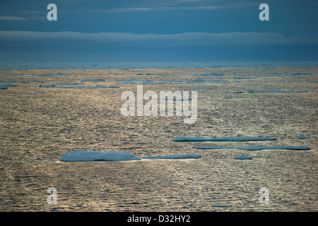 Pfannkuchen Sie-Eis-Nord Atlantik verpackt Eissegeln zwischen Spitzbergen und Grönland Stockfoto