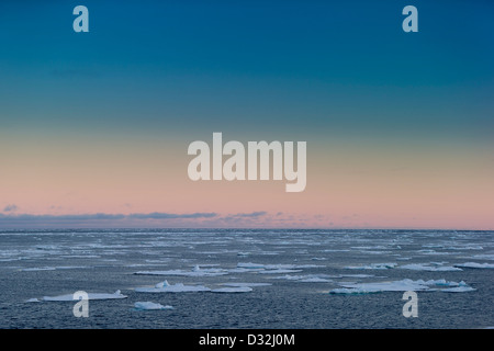 Pfannkuchen Sie-Eis-Nord Atlantik verpackt Eissegeln zwischen Spitzbergen und Grönland Stockfoto