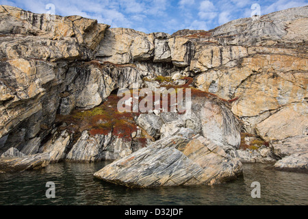 Fels-Formationen, Scoresbysund, Grönland Stockfoto