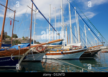 Traditionelle Gulets, die in Bodrum Marina festgemacht sind. Mugla Provinz, Türkei. Stockfoto