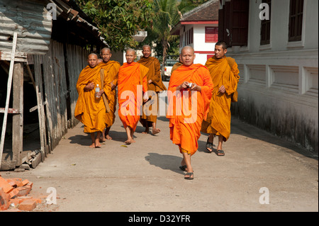 Buddhistische Mönche tragen Safranroben zu Fuß durch Tempel Luang Prabang Laos Stockfoto