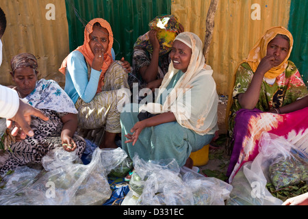 Frauen verkaufen Chat, Chat-Markt, Harar, Äthiopien Stockfoto