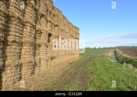 Strohballen neben einem Wanderweg in der Nähe von Pulham Markt in South Norfolk, Großbritannien Stockfoto