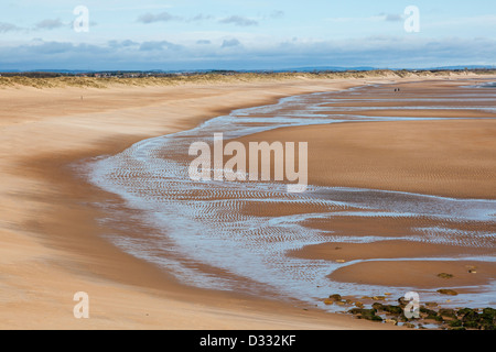 Dog Walker am Sandstrand bei Seaton Schleuse Northumberland, UK. Windkraftanlagen an den Hafen von Blyth in der Ferne Stockfoto