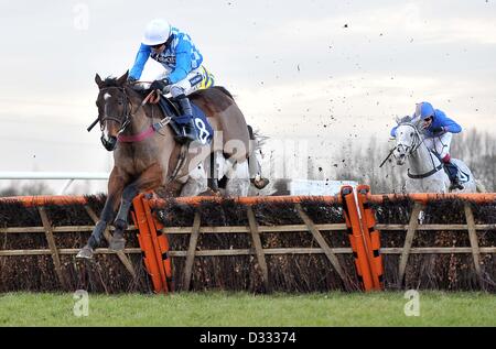 Huntingdon Race Course. Cambridgeshire. 7. Februar 2013. Gewinner-Kunst-PROFESSOR geritten von Aidan Coleman springt den letzten Zaun. Rennen 5. 32Red.com Handicap Hurdle.  Chatteris Fen Renntag... Bildnachweis: Sport In Bildern / Alamy Live News Stockfoto