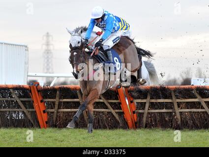 Huntingdon Race Course. Cambridgeshire. 7. Februar 2013. Gewinner-Kunst-PROFESSOR geritten von Aidan Coleman springt den letzten Zaun. Rennen 5. 32Red.com Handicap Hurdle.  Chatteris Fen Renntag... Bildnachweis: Sport In Bildern / Alamy Live News Stockfoto