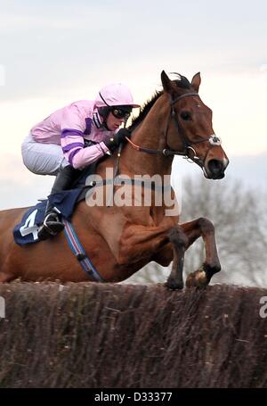 Huntingdon Race Course. Cambridgeshire. 7. Februar 2013. Gewinner TRICKY TRICKSER geritten von Herrn S Clements springt den letzten Zaun. Rennen 6. CGA-Foxhunter-Testversion (eine offene Jäger? Chase). Chatteris Fen Renntag... Bildnachweis: Sport In Bildern / Alamy Live News Stockfoto