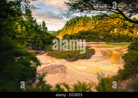 Grüne Wälder und bunte Thermalseen, geothermische Gebiet an der Wai-O-Tapu, Rotorua, Nordinsel, Neuseeland. Stockfoto