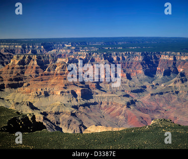 USA, Arizona, Grand Canyon National Park, Luftaufnahme des Grand Canyon mit Kaibab Wald Coconino Hochebene Stockfoto