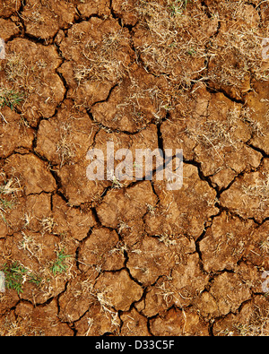 Die trockene trockene rissige Erde Dürre in Äthiopien, Afrika Stockfoto