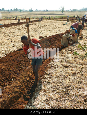 Bewirtschaftung von Flächen im Austausch, wenn sie die Besitzer Hilfe benötigen revanchieren und Freiwilligen unterstützt sozialen Landwirtschaft Stockfoto