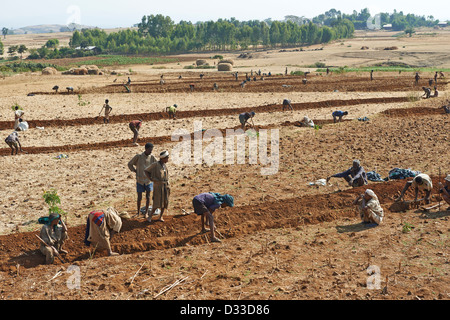 Bewirtschaftung von Flächen im Austausch, wenn sie die Besitzer Hilfe benötigen revanchieren und Freiwilligen unterstützt sozialen Landwirtschaft Stockfoto