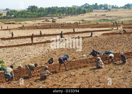 Bewirtschaftung von Flächen im Austausch, wenn sie die Besitzer Hilfe benötigen revanchieren und Freiwilligen unterstützt sozialen Landwirtschaft Stockfoto