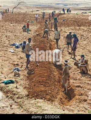 Bewirtschaftung von Flächen im Austausch, wenn sie die Besitzer Hilfe benötigen revanchieren und Freiwilligen unterstützt sozialen Landwirtschaft Stockfoto