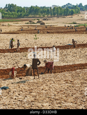 Bewirtschaftung von Flächen im Austausch, wenn sie die Besitzer Hilfe benötigen revanchieren und Freiwilligen unterstützt sozialen Landwirtschaft Stockfoto