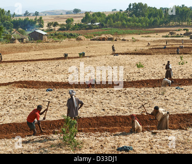 Bewirtschaftung von Flächen im Austausch, wenn sie die Besitzer Hilfe benötigen revanchieren und Freiwilligen unterstützt sozialen Landwirtschaft Stockfoto