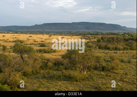 Blick aus einem Heißluftballon, Masai Mara National Reserve, Kenia Stockfoto