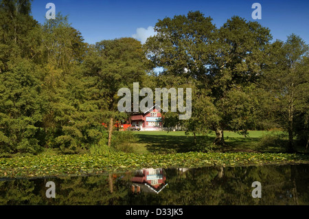 Singleton Park in Swansea. Stockfoto