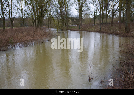 River Deben Bankfull Flut Bedingungen Mäandern durch Weiden, Campse Ashe, Suffolk, England Ende Dezember 2012. Stockfoto