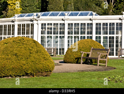 Klasse 2 aufgeführten Gusseisen georgische Kamelie Haus von Sir Jeffry Wyatville Wollaton Park Nottingham Nottinghamshire, England Stockfoto