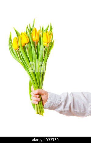 Europäische Hand mit einem Bouquet von gelben Tulpen Stockfoto