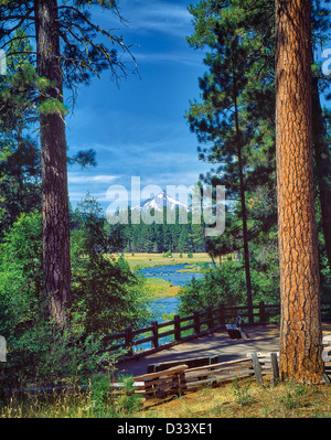 Metolius Fluss mit Pferden in der Wiese Farbe. Oregon. Stockfoto