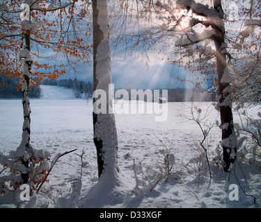 DE - Bayern: Winter-Szene in der Nähe von Bad Tölz Stockfoto