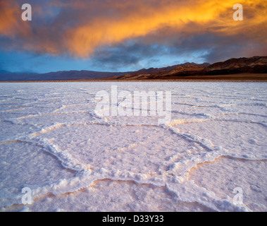 Salz Polygone. In der Nähe von Badwater. Death Valley Nationalpark, Kalifornien. Stockfoto